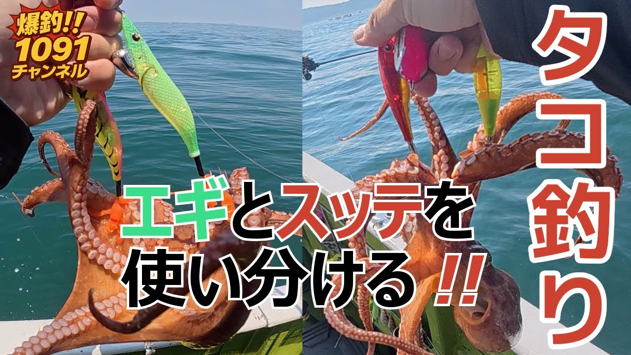 タコ釣り】不利な釣座でもトップが取れたタコの釣り方はコレ‼️ - YouTube