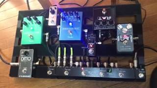 Agamidae Tail Loop (OC-6V) – One Control USA