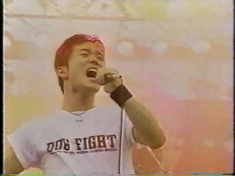 DOG FIGHT LIVE! 1993-94 DVD_Trailer - YouTube