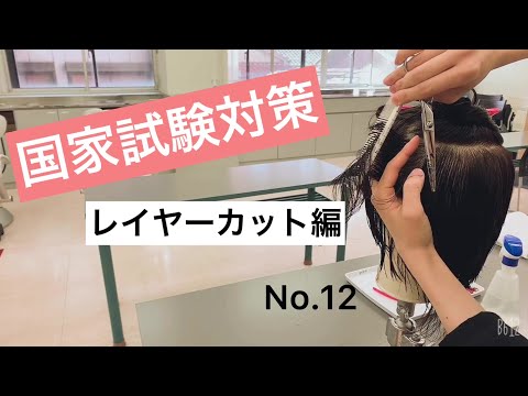 新品未開封 国家試験レイヤーカット用2個セット③ 新品未開封 国家試験