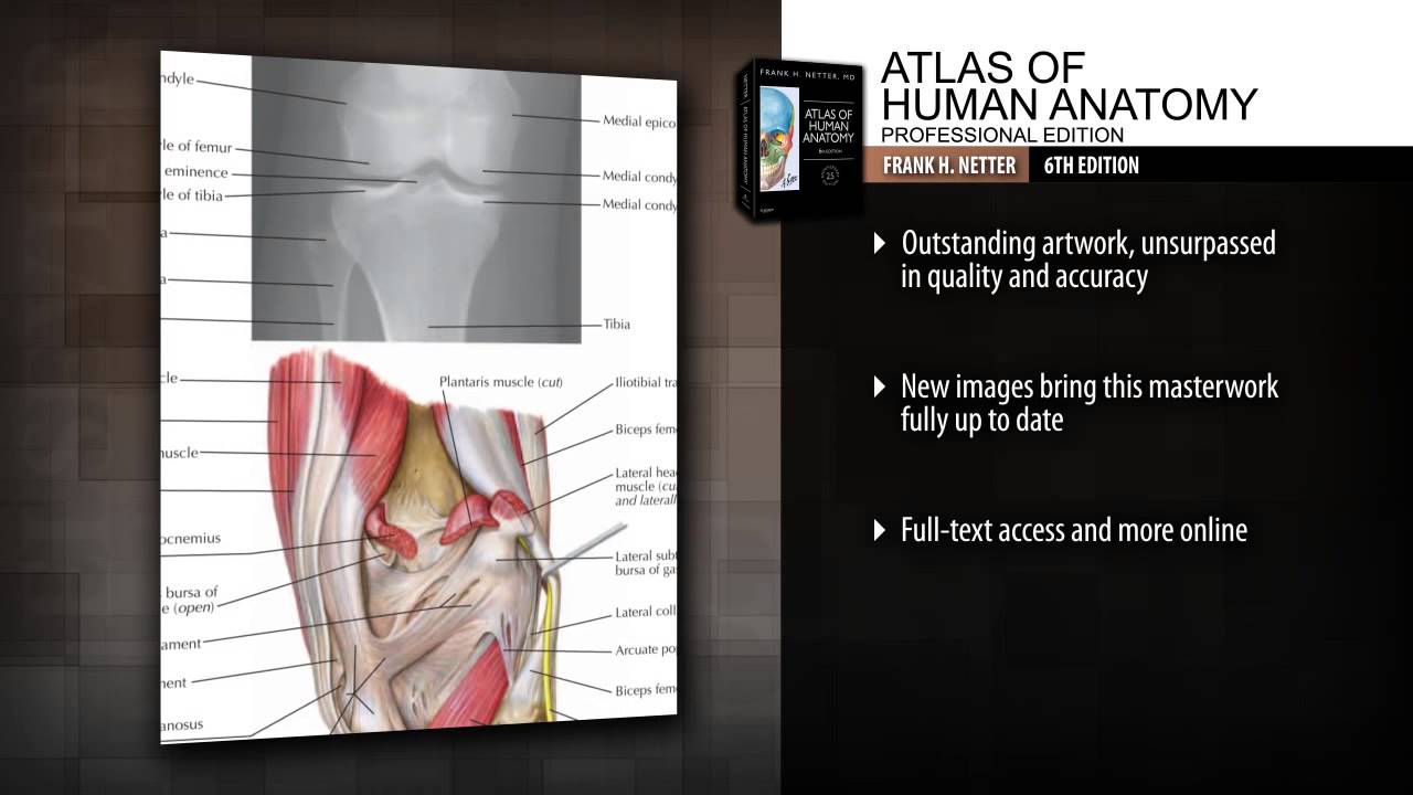 Atlas of Human Anatomy, Professional Edition, 6th Edition - YouTube