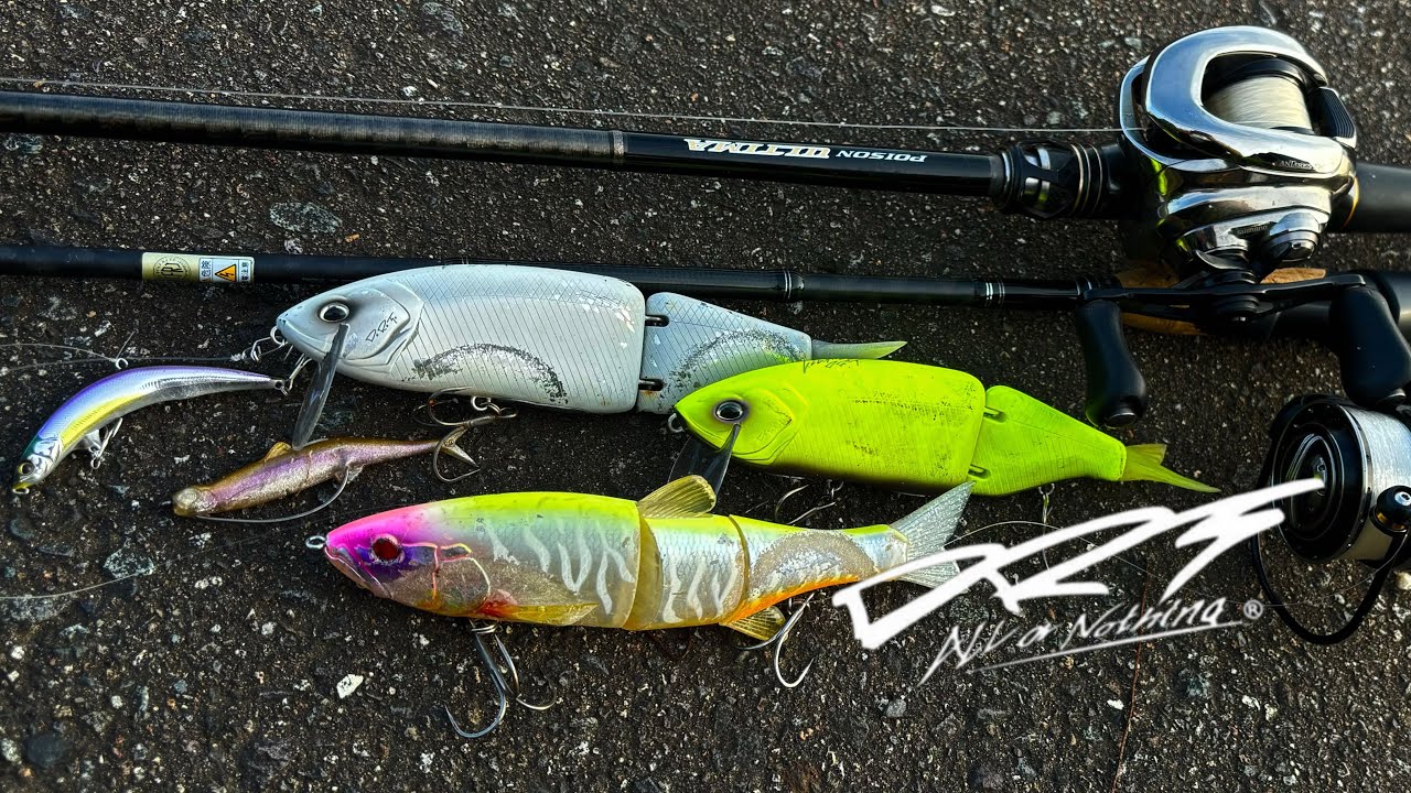 DRT クラッシュ9 Low 256 DRT クラッシュ9 low 256