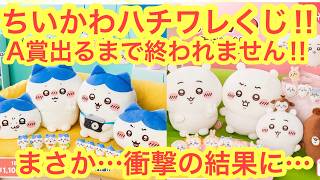 Chiikawa] The Hachiware Darake Lottery challenge won't end until