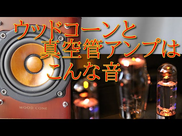 ビクター ウッドコーンフルレンジスピーカーと真空管アンプ 空気録音