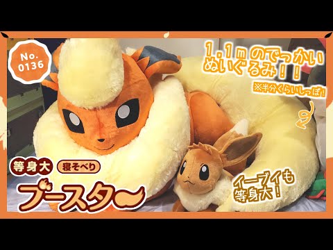 Pokémon Center] Eevee gets so big when it evolves! Introducing a