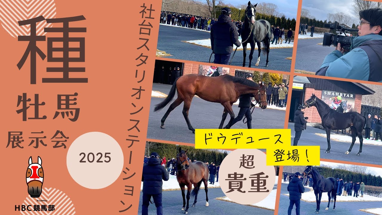社台スタリオンS種牡馬展示会】全頭見せます！ドウデュースに