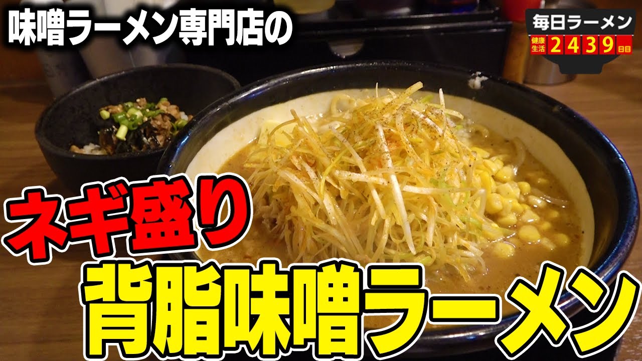 ネギ背脂味噌】一番良いシチュエーションでパンチ味噌を爆食いする