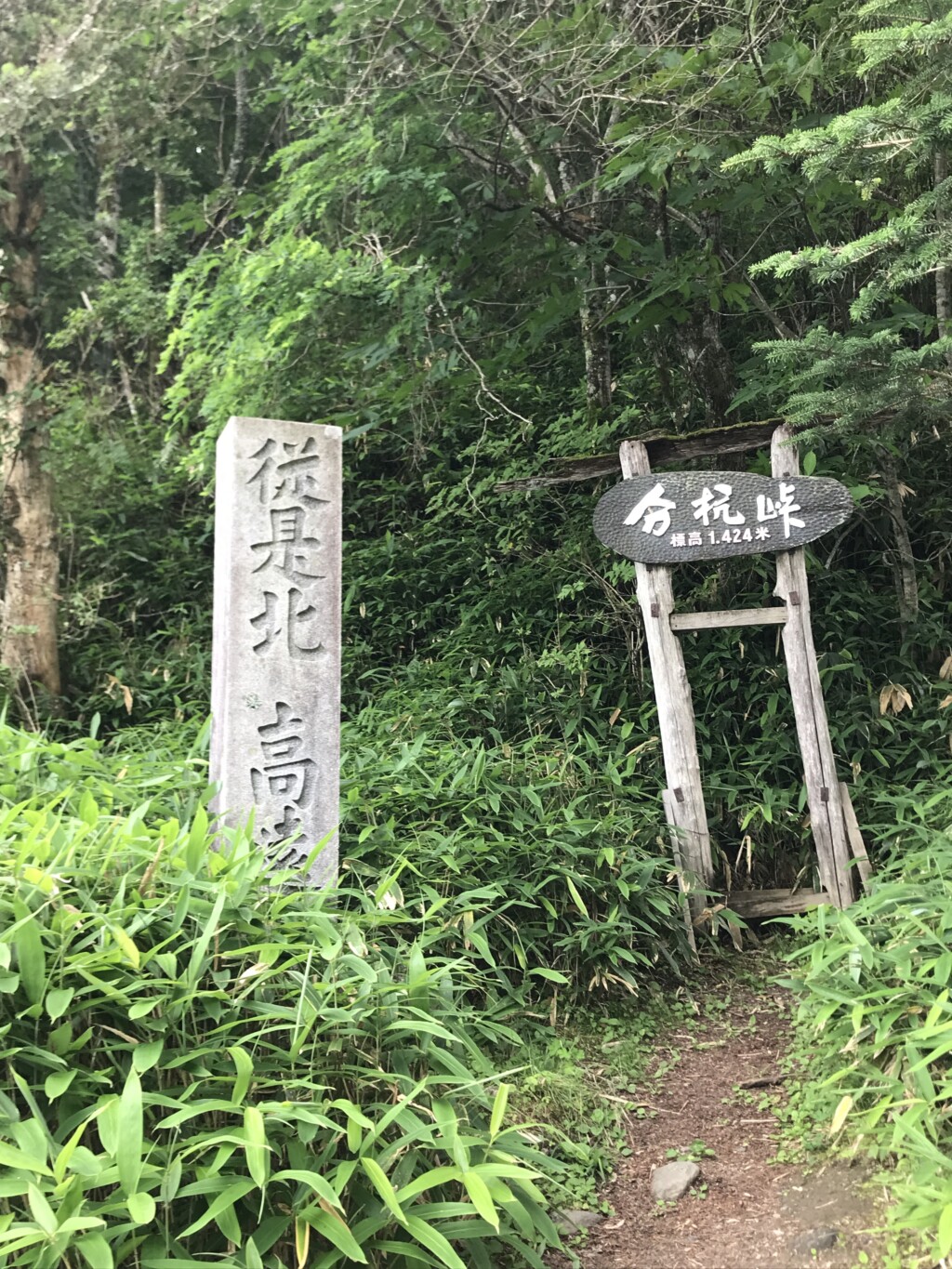 分杭峠でゼロ磁場を体験「長野県のパワースポット」で心をゼロリセット