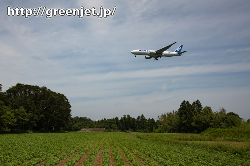 ANAカーゴのB777Fを成田で捉える！ | MGT Greenjet 飛行機撮影記
