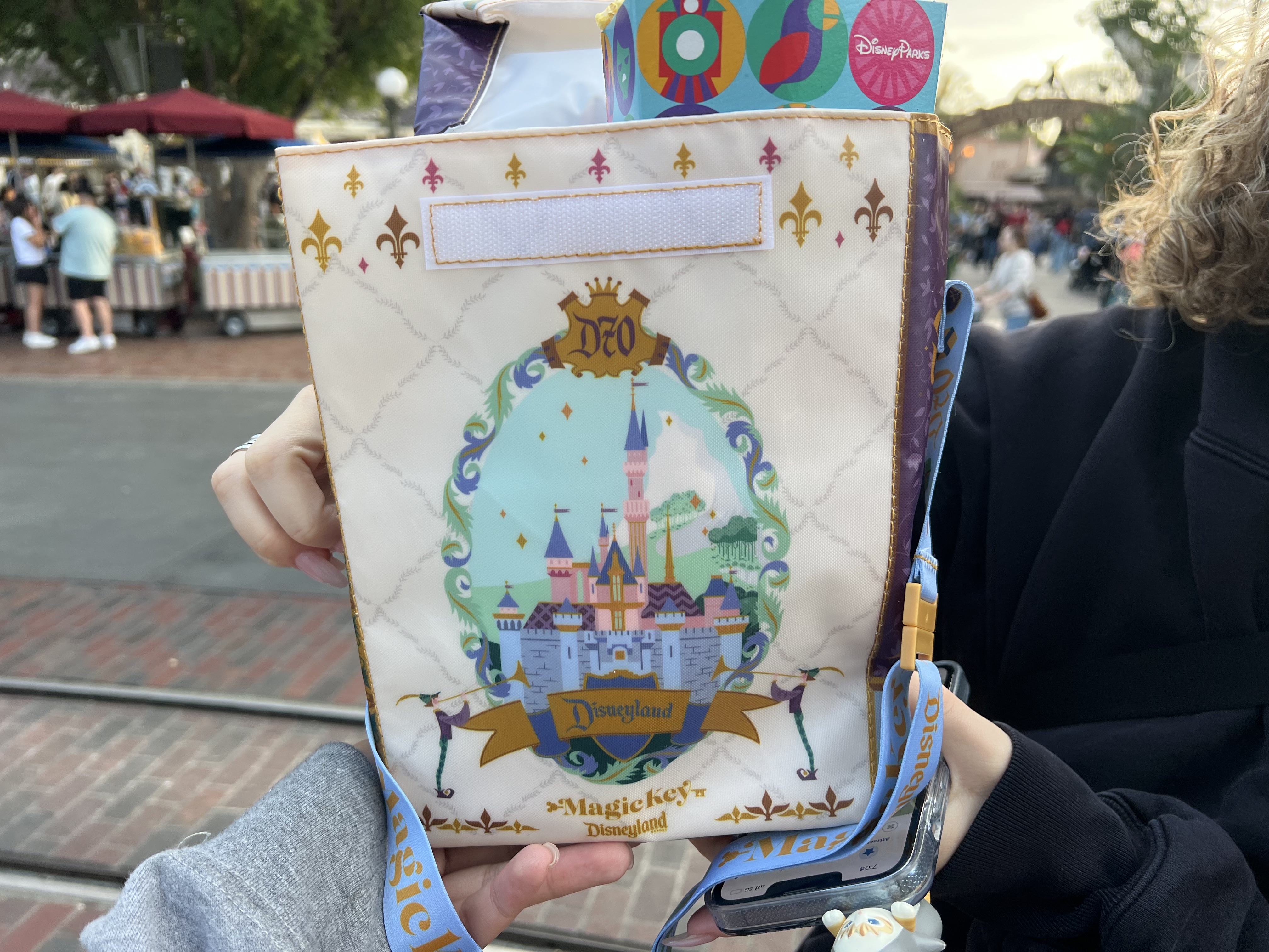 DLR70】ディズニーランド70周年のポップコーンケース発売 – ディズニー