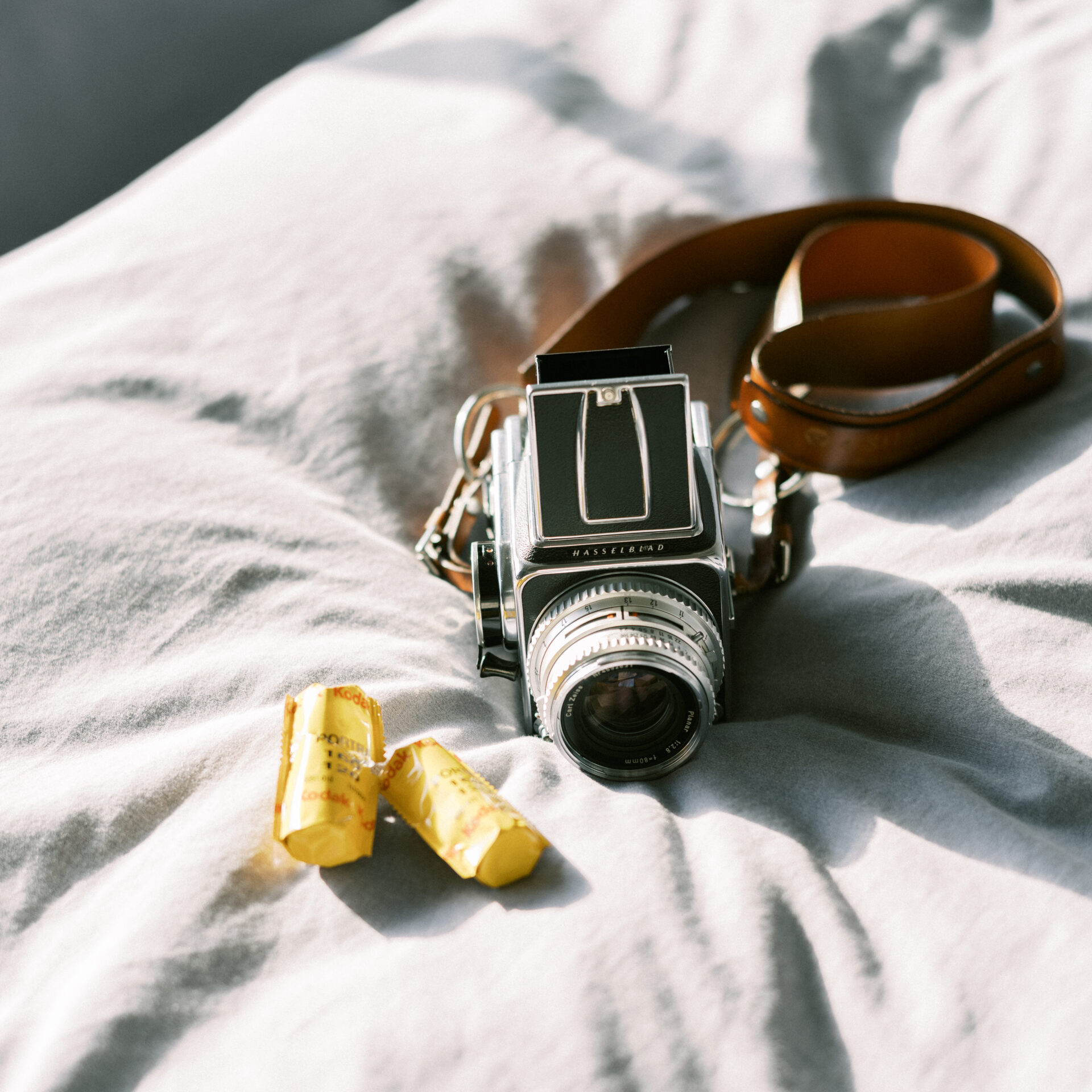 作例レビュー】HASSELBLAD 500c｜#わたしのカメラ｜vol.008