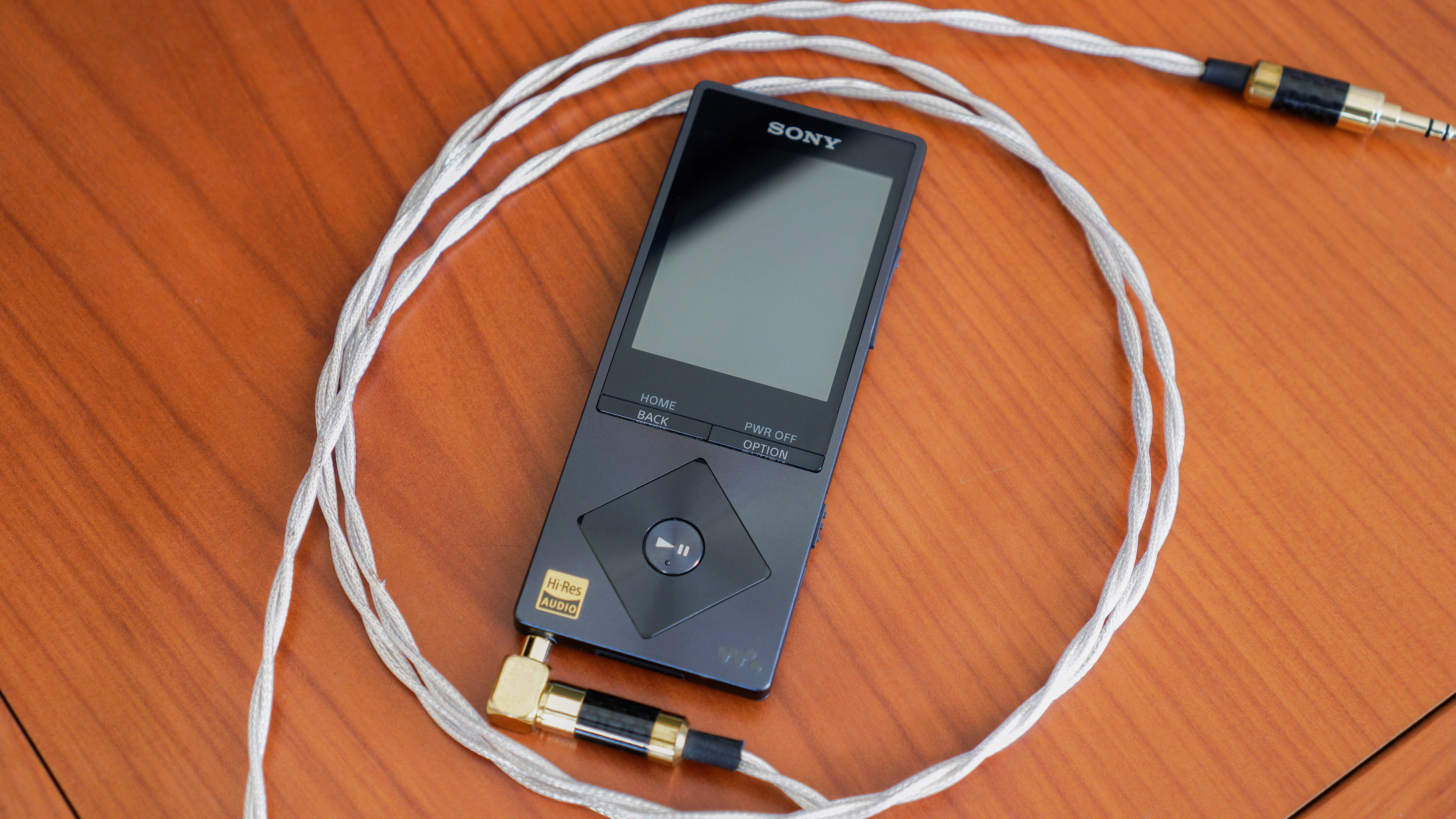 Sony NW-A25 Review – Dead Media or Niche Luxury? – Everyday Listening