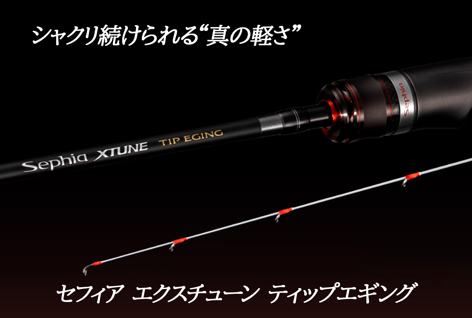 新製品】ソフトティップ×ハードバットの新機種が登場！セフィア エクス