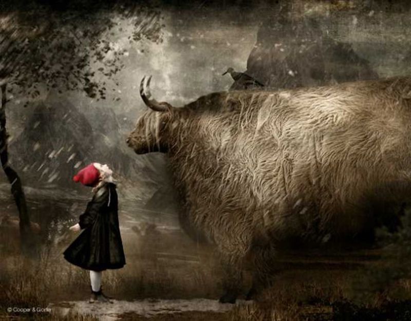 The Weather Diaries By Cooper and Gorfer - PLAIN Magazine