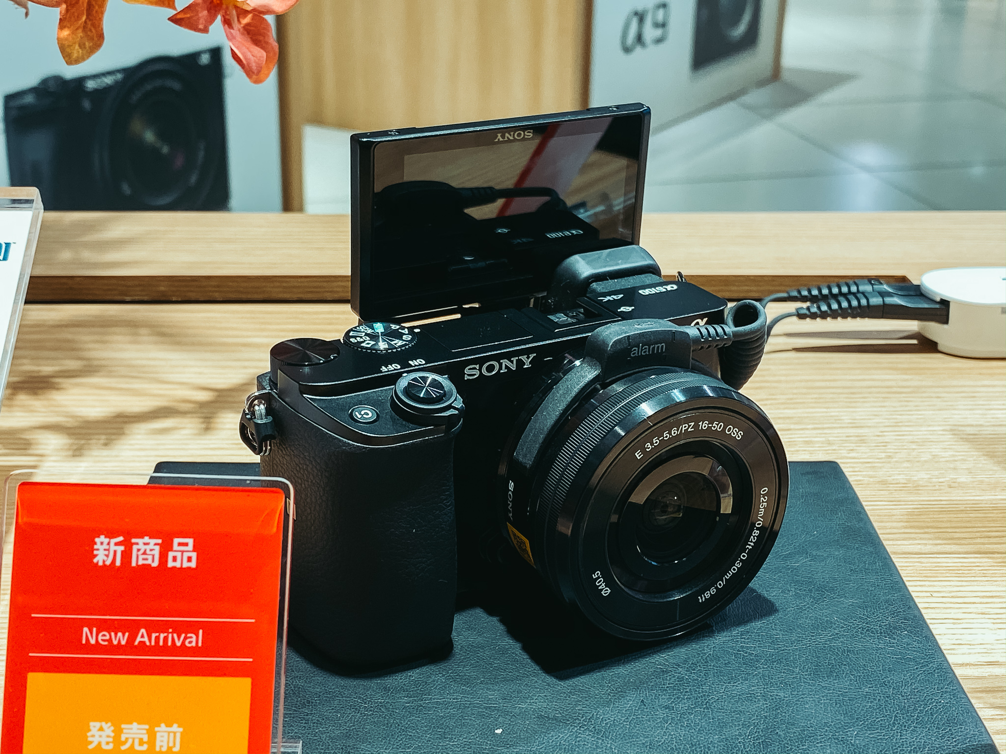 ソニー α6100 レビュー｜オススメのエントリーミラーレス | Photo