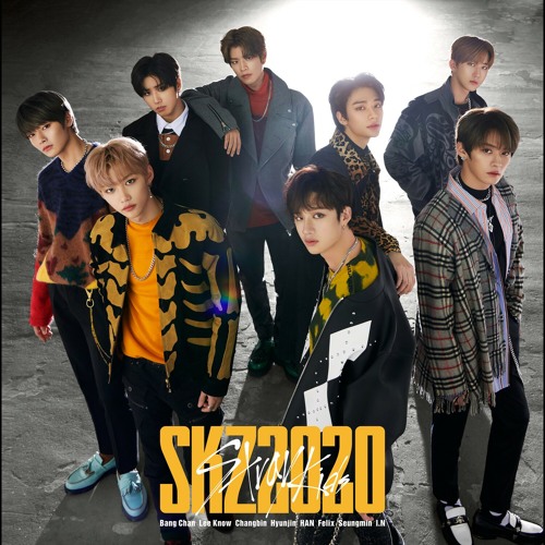 Stray Kids SKZ2020 アルバム 4種セット Stray Kids SKZ2020 アルバム