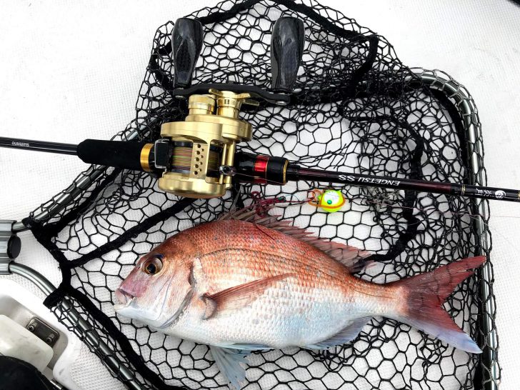 シマノ 炎月SS B610L-S インプレ。コスパ最高、真鯛のカツカツバイト