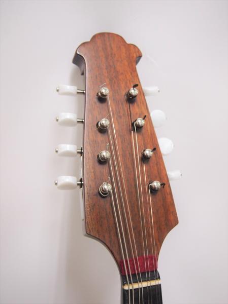 カラーチェマンドリン クラシコB | イケガク