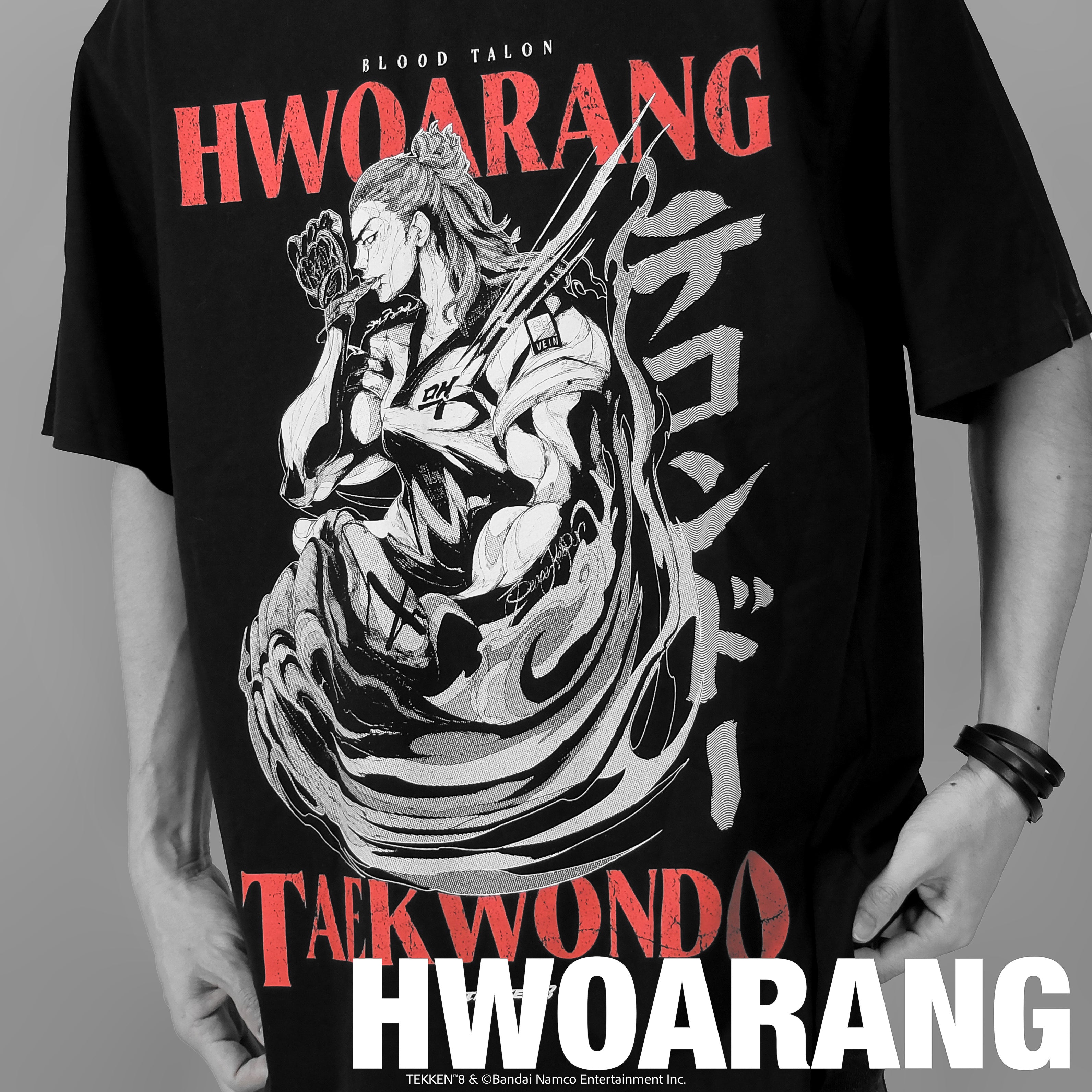 HWOARANG.jpg?v=1749721980&