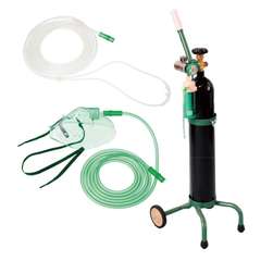 酸素吸入器(キャリータイプ) 酸素吸入器 01-5560-24 ブルークロス