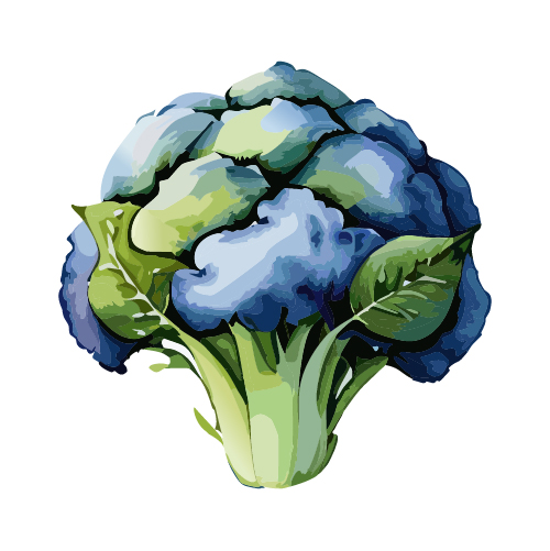 水彩で描いたブロッコリーのイラスト 無料素材 | イラストダウンロード