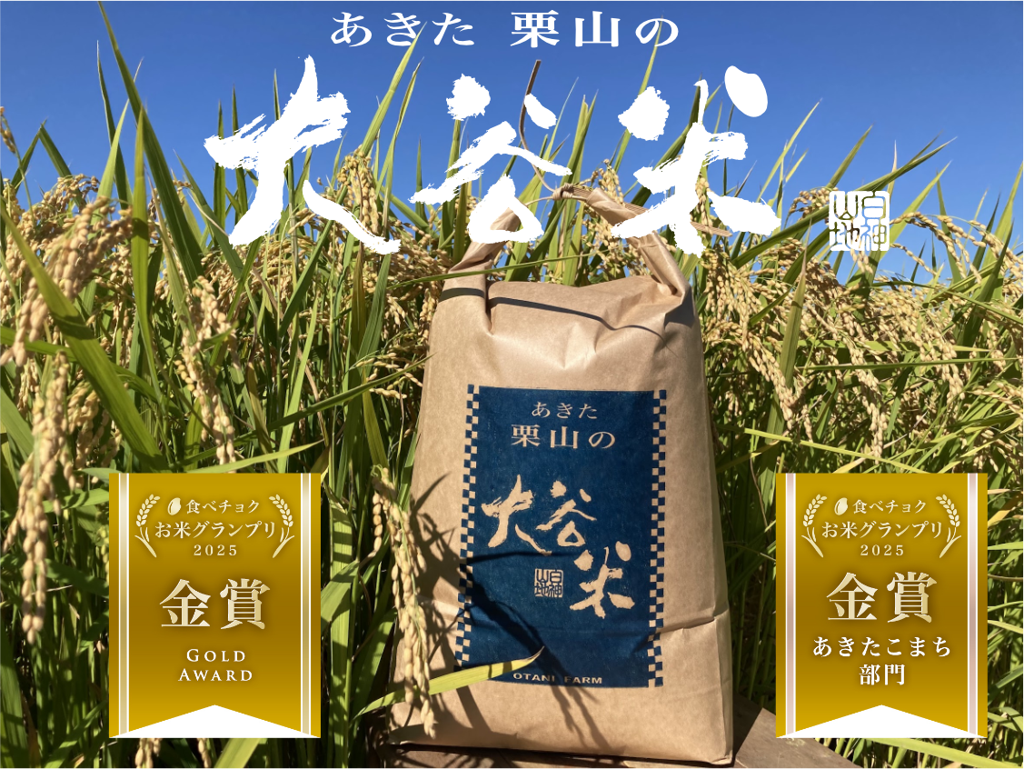 お米グランプリ2025 金賞 【令和7年度米】精米 4.5kg あきたこまち