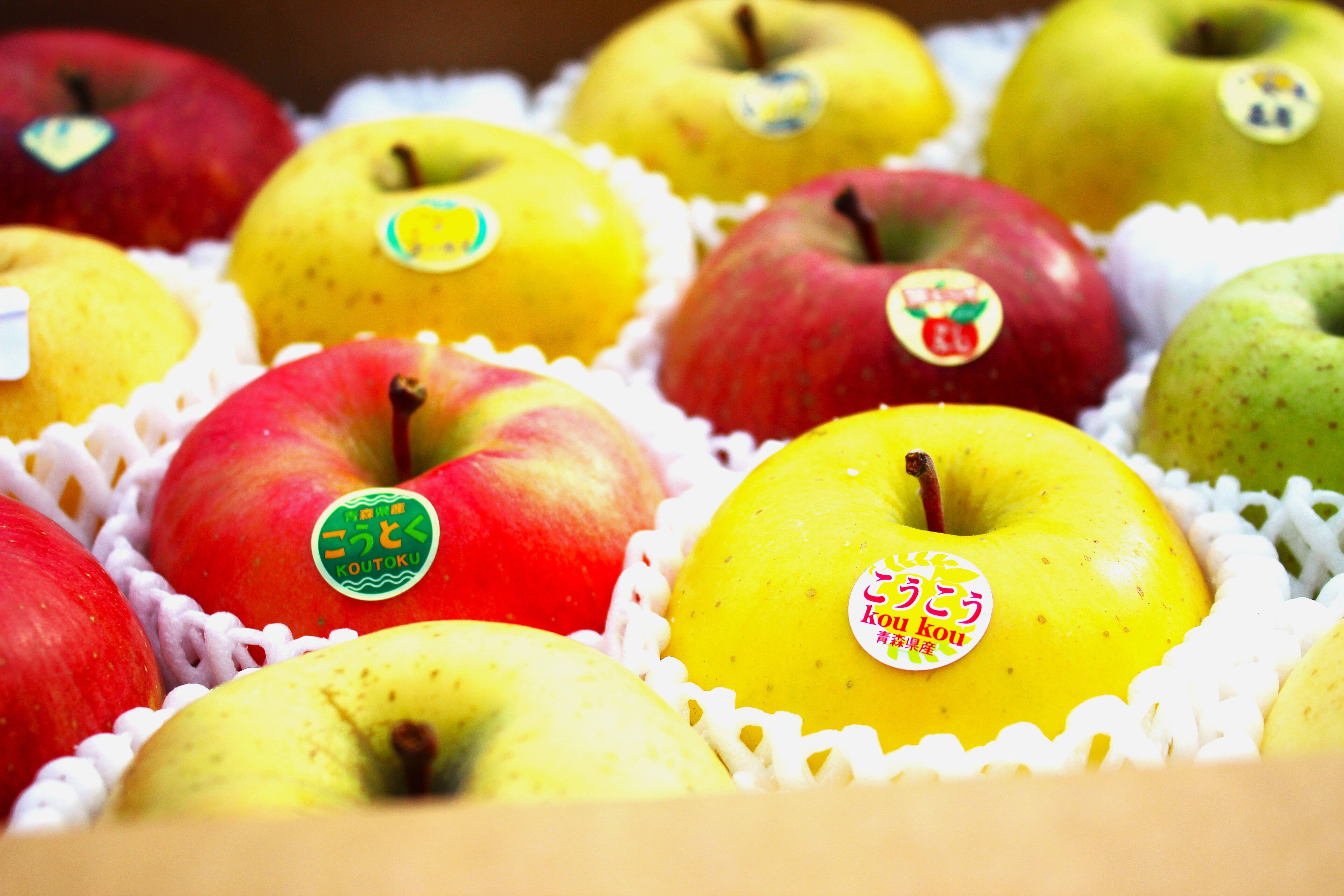 4eddedfeb3df7dbf9ea0deeda9282e