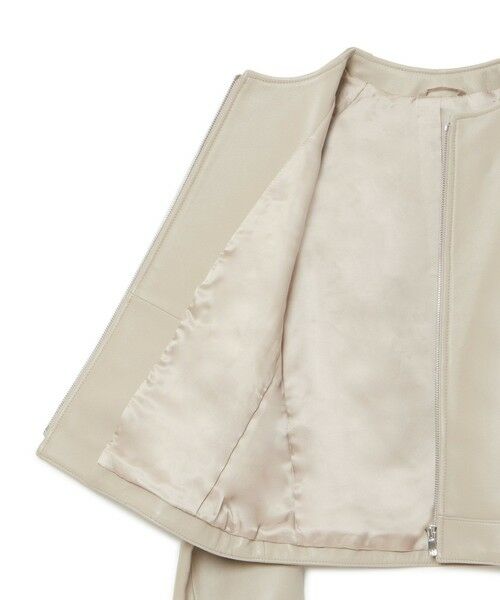 ラムレザーファスナーブルゾン （レザーブルゾン・ジャケット）｜ANAYI