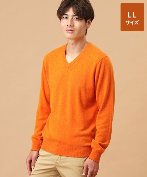 セール】 カシミヤ Vネックセーター【LL】 （ニット・セーター