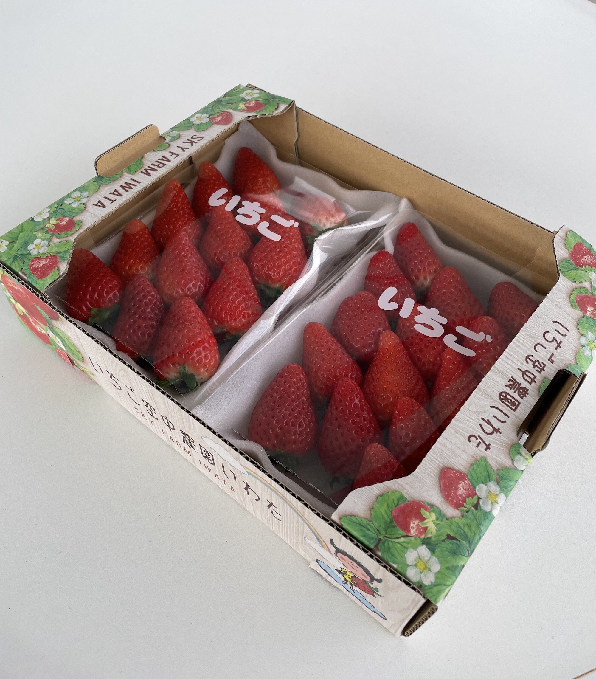 いちご空中農園いわた いちご狩り(磐田市)(画像2枚目) | いちご狩り