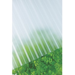 ヨドバシ.com - タキロン ポリカ波板 32波 6尺 650クリアフロスト