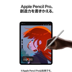 ヨドバシ.com - アップル Apple iPad Pro（M4） 13インチ Apple M4