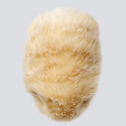 ヨドバシ.com - カシオ CASIO PE-M10GD [Moflin（モフリン） AIペット