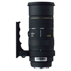 ヨドバシ.com - シグマ SIGMA APO 50-500mm F4-6.3 EX DG [ソニー用