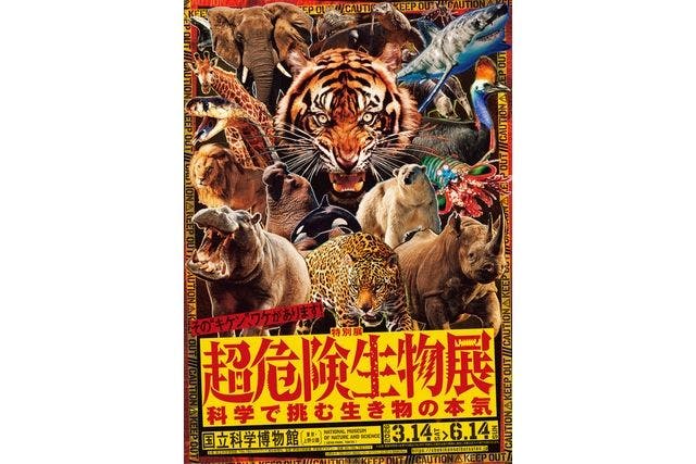 デュエル・マスターズコラボカードスリーブセット券｜アソビュー！