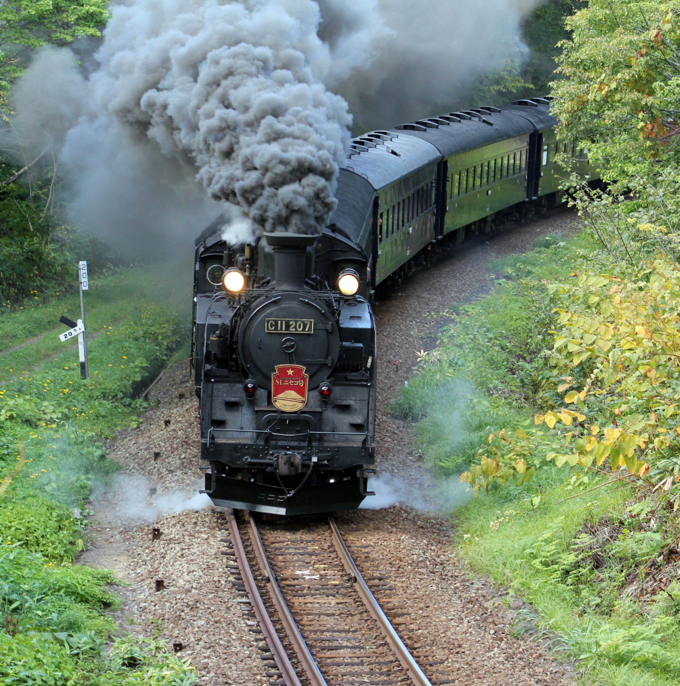 愛称板 SLニセコ 愛称板 SLニセコ 愛称板】SLニセコ号 指定席 鉄製