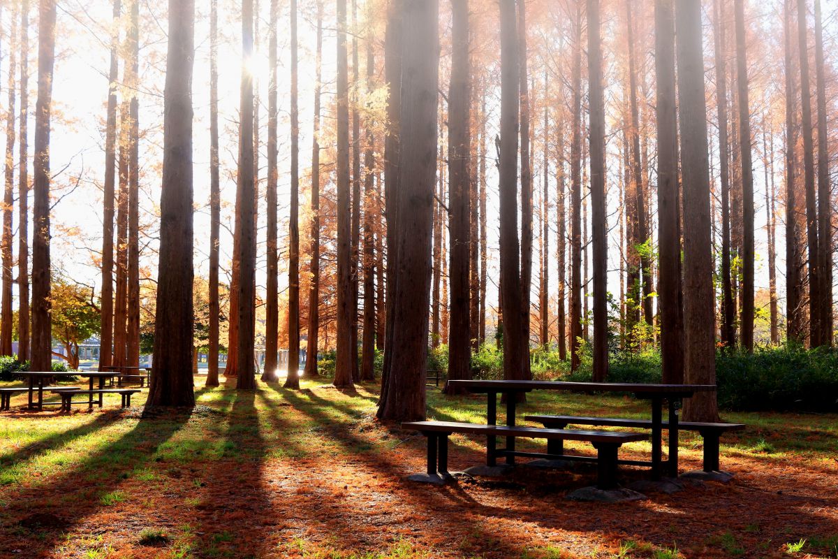 EF-S24mm F2.8 STMで撮影された写真 | 写真検索 | GANREF