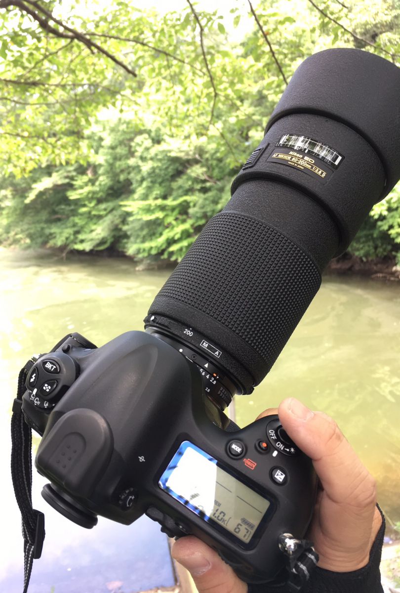 Ai AF 80-200mmF2.8D旧ってどおよ | GANREF