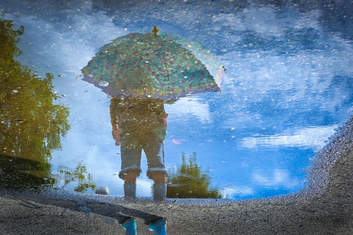 Z6IIIで撮影された写真 | 写真検索 | GANREF