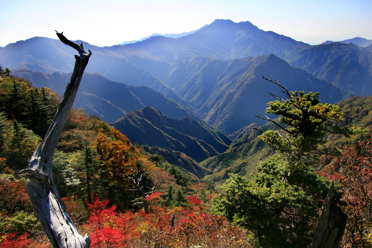 20-40mm F2.8 EX DG ASPHERICALで撮影された写真 | 写真検索 | GANREF