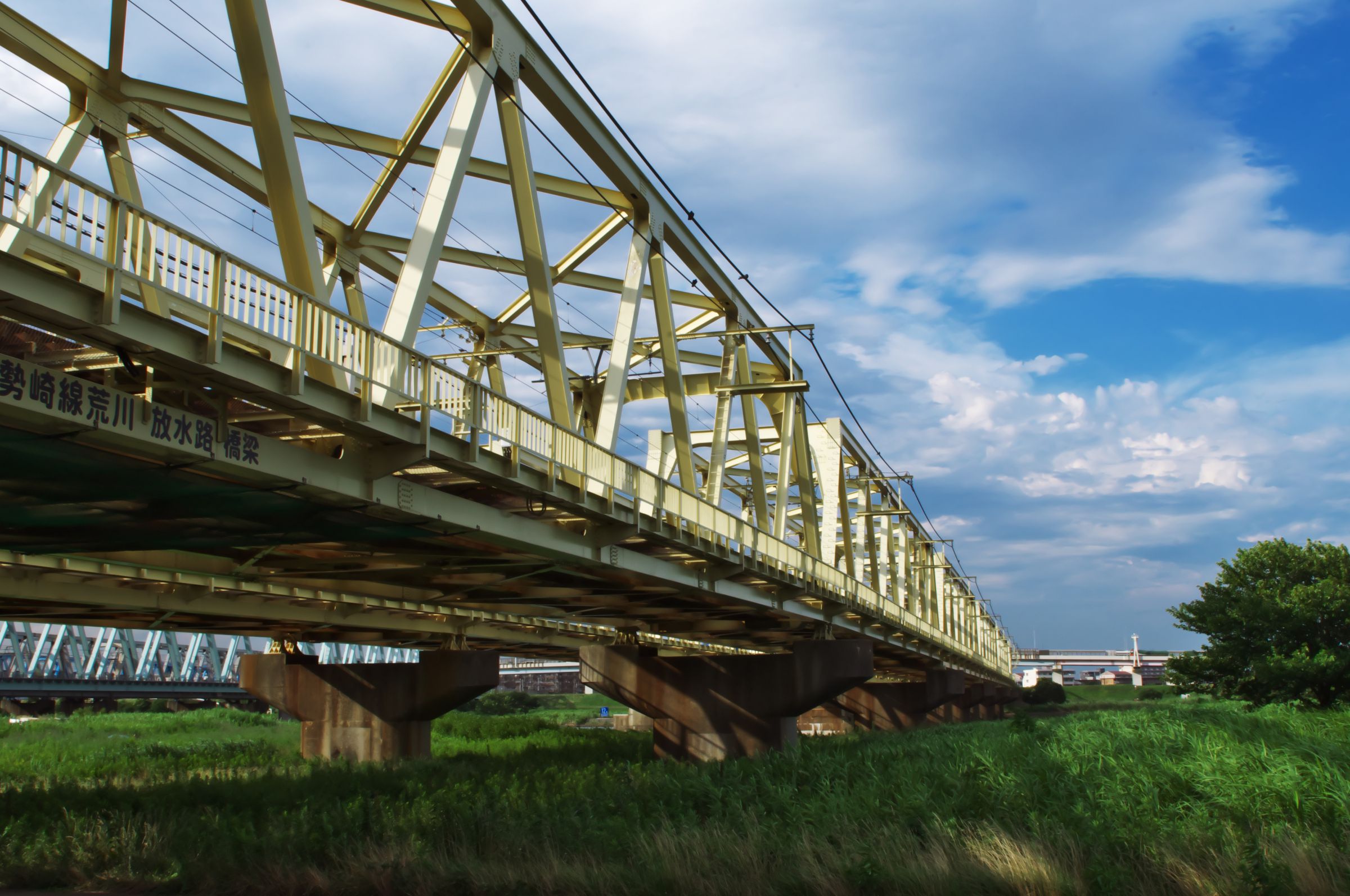 荒川土手 | GANREF