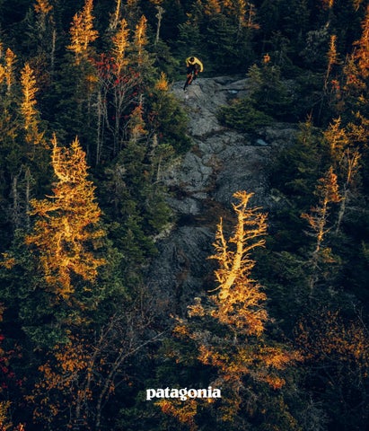 patagoniajp Publisher Publications - Issuu