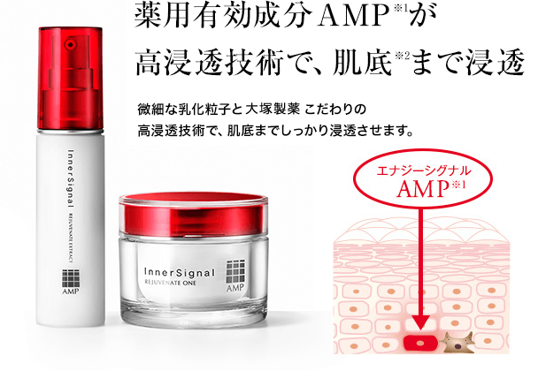 インナーシグナル 3点セット インナーシグナルリジュブネイト3点セット