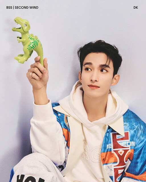 SEVENTEEN DXS ドギョム DK サノク トレカ 2026年最新】seventeen