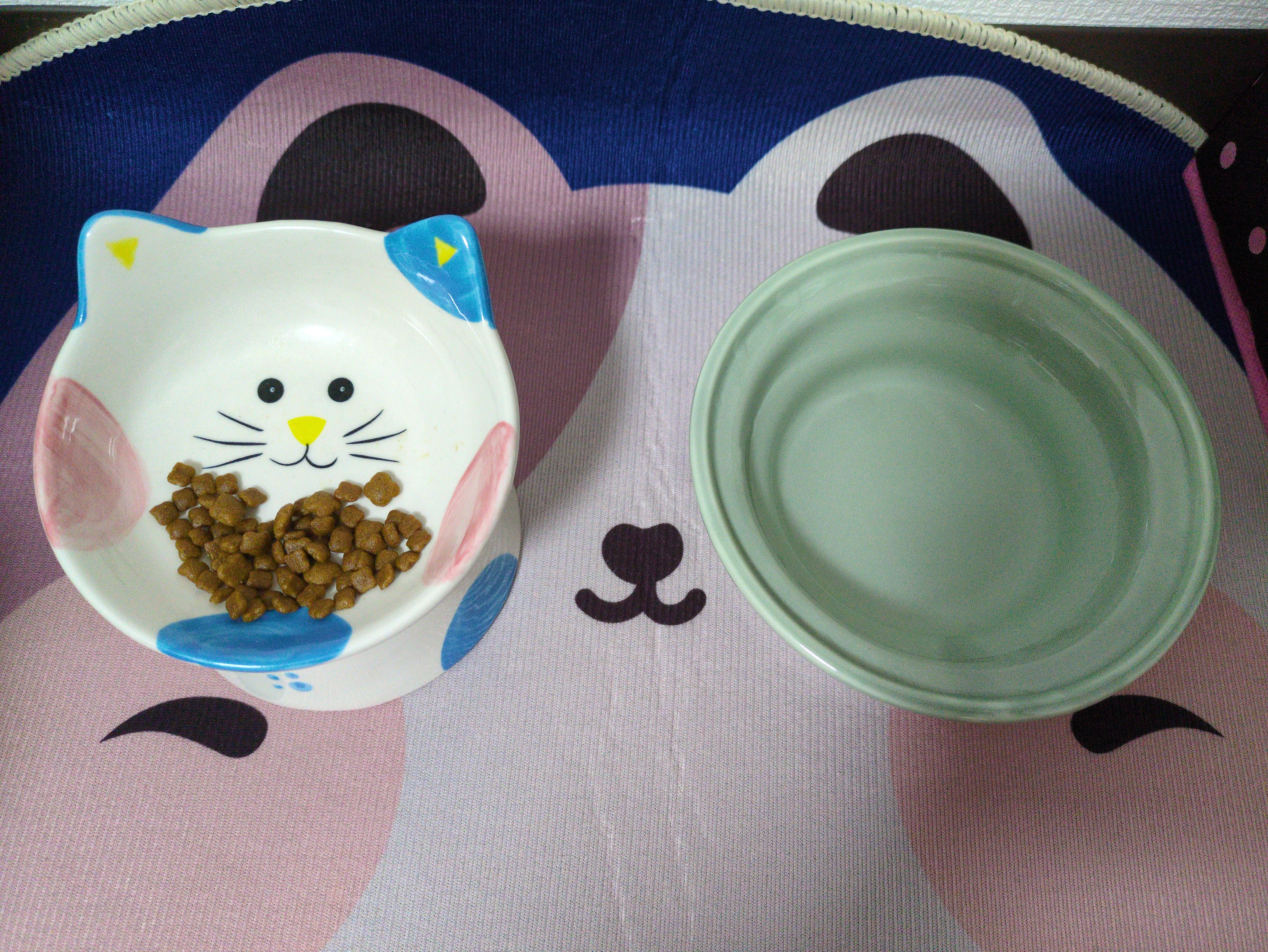 口コミ・レビュー｜ヘルスウォーターシリーズ にゃんマグ｜ 猫用食器