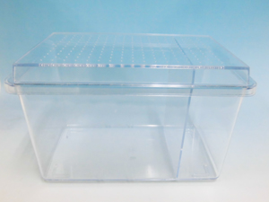 コバエさよなら飼育ケース 中（仕切り1枚付） | モンスター