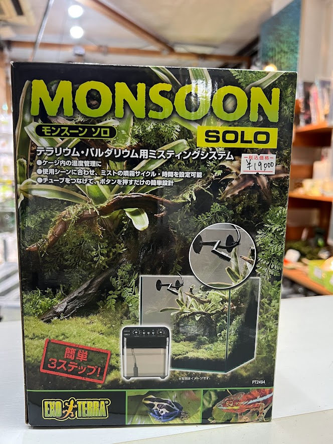 エキゾテラ モンスーン ソロ ワイルドスカイwildsky・カエル専門店