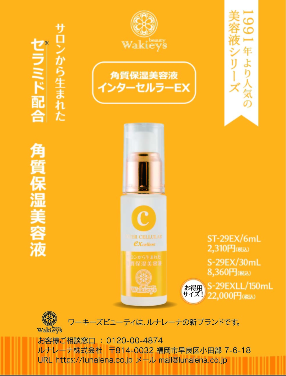 ルナレーナ オンライン