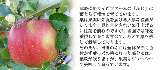 王林＆ふじ ほほえみ | 津軽ゆめりんごファーム