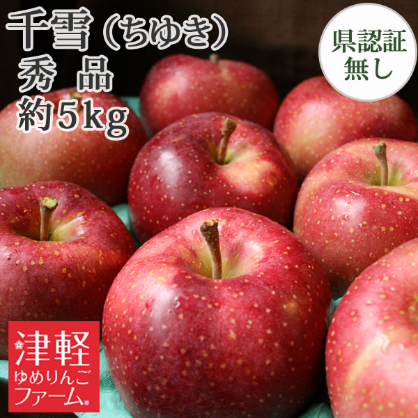 送料無料】青森県産りんご 千雪 秀品 約5kg（14-20個入）認証なし